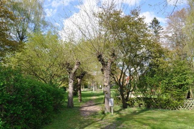 Ferienwohnung Suedpark Schneverdingen Exteriör bild